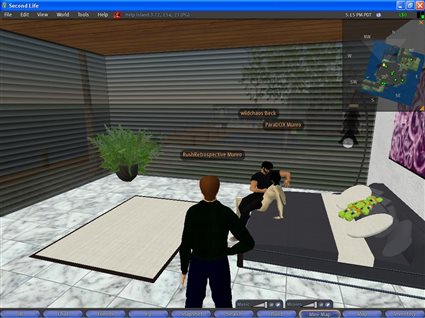 Para Makes Friends in Second Life
