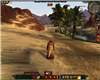 Age of Conan Look and UI